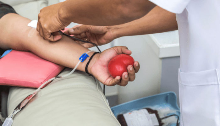 Doação de Sangue: Guia Completo sobre o assunto!