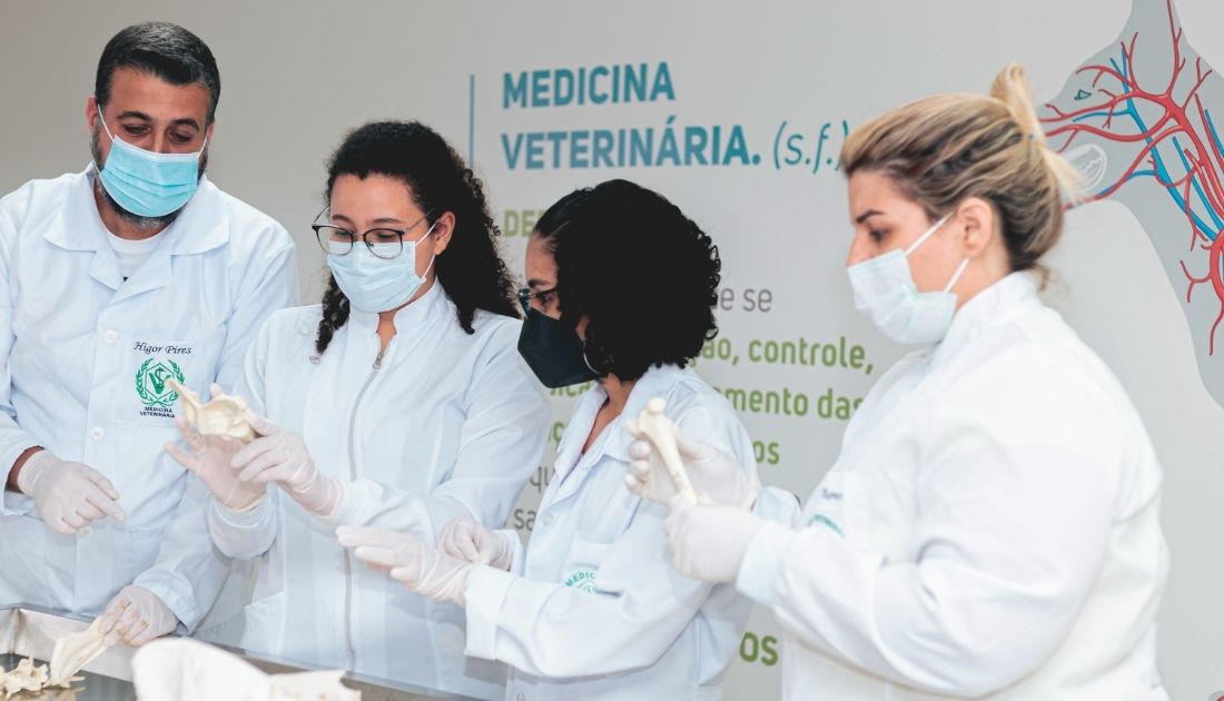 Alunos de Medicina Veterinária da UNISUAM